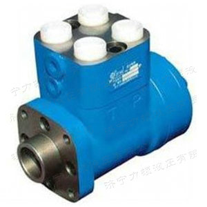 BZZ摆线转阀式全开云网页版登录入口